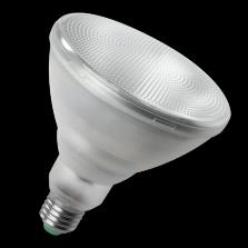 LED PLANT LAMP PAR38 E27 8,5W
